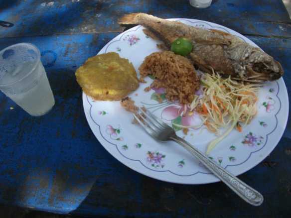 To South America - Dead fish meal